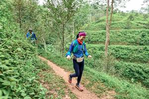 BIB: 521
                            <button type="button" onclick="openModal(24878869)" class="btn btn-primary btn-sm float-right btn-popup" data-toggle="modal" data-target=".modal-high-quality">
                        <i class="fas fa-shopping-cart"></i> Add to Cart
                    </button>
                                            <button type="button" onclick="isThisMe(24878869, true)" class="btn btn-success btn-sm float-right btn-popup btn-isme hidden" data-toggle="tooltip" data-placement="bottom" title="นี่คือรูปของคุณใช่ไหม คลิกที่นี่เพื่อเอาเข้าอัลบั้ม">
                        <i class="fas fa-plus"></i> Add to album
                    </button>
                    <button type="button" onclick="isThisMe(24878869, false)" class="btn btn-warning btn-sm float-right btn-popup btn-isnotme hidden">
                        <i class="fas fa-ban"></i> Remove from album
                    </button>